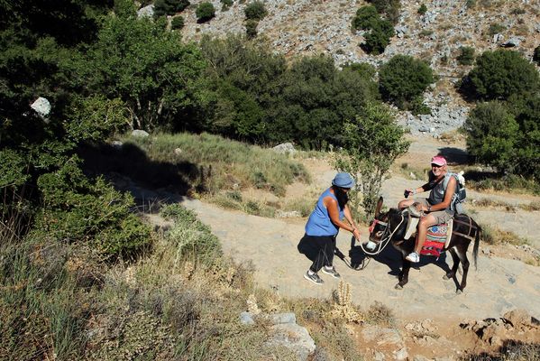 mit dem Esel nach oben