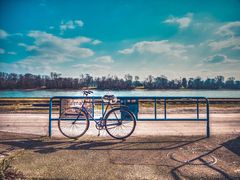 Mit dem Fahrrad am Rhein