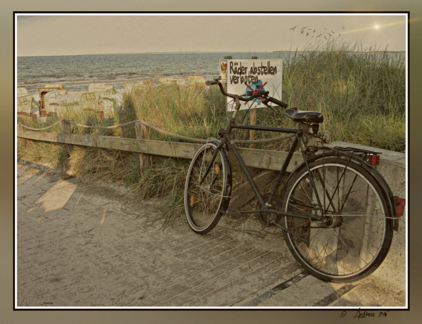 fahrrad und meer