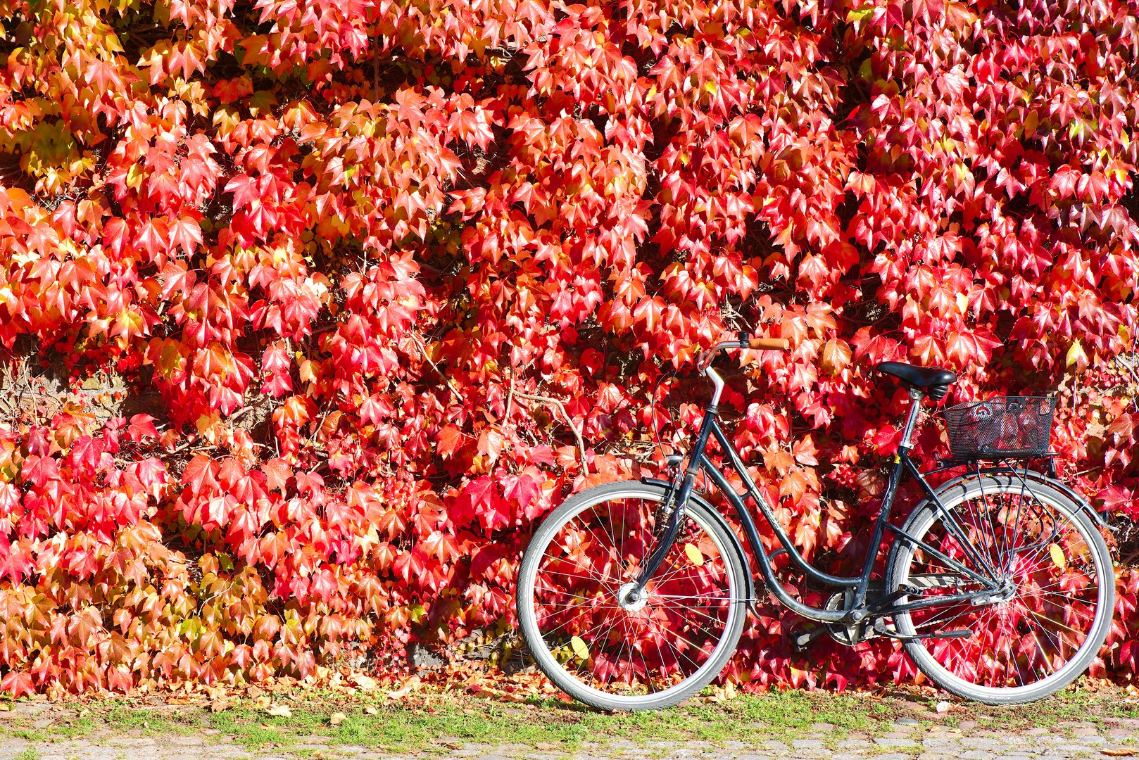Mit dem Fahrrad durch den Herbst