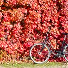 Mit dem Fahrrad durch den Herbst