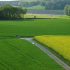 Mit dem Fahrrad durch die Felder