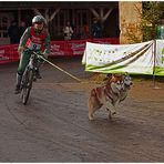 Mit dem Fahrrad