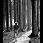 Mit dem Fahrrad im Wald