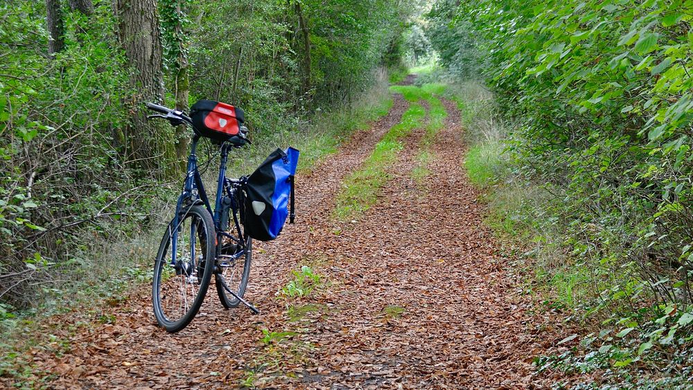 Mit dem Fahrrad im Zauberwald Foto & Bild Bilder auf