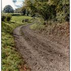 Mit dem Fahrrad unterwegs... - En route en vélo...