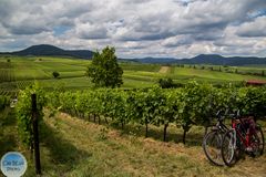 Mit dem Fahrrad zum Kalmitfest im Juli