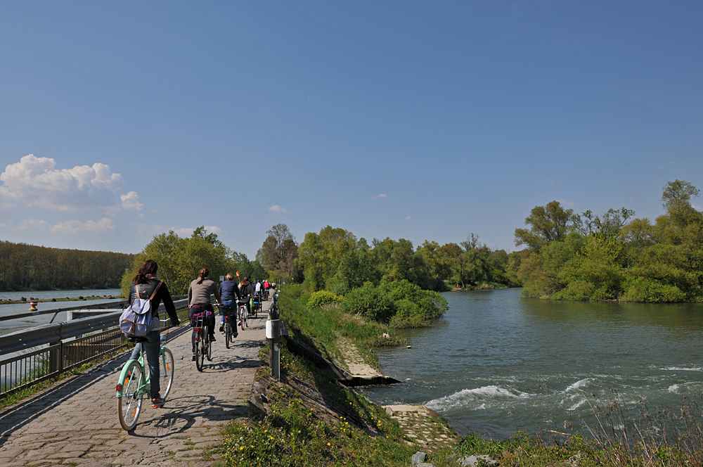 Mit dem Fahrrad „Zum Rheinblick“ oder/und „Hofgut Langenau“