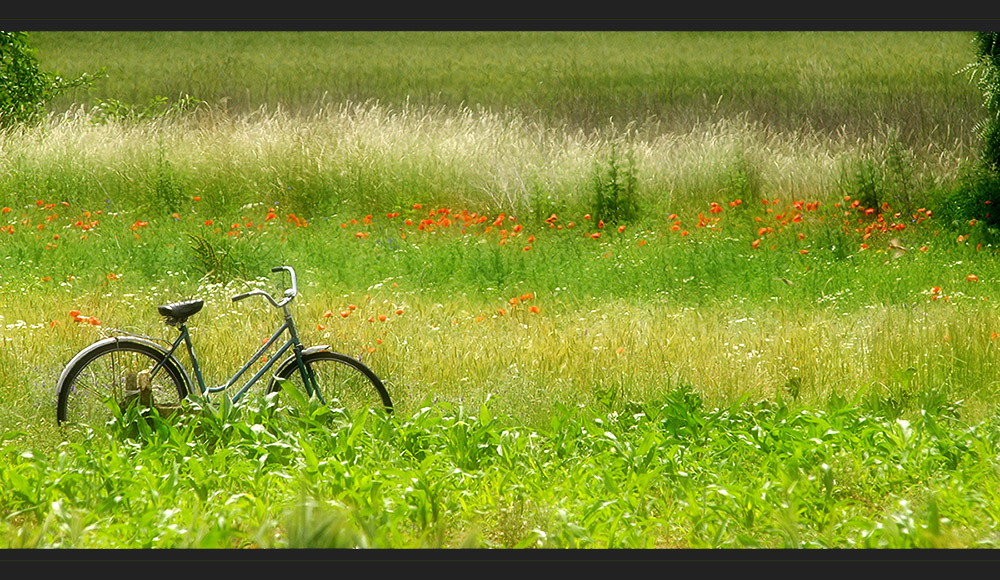 Mit dem Fahrrad zur Arbeit