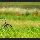 Mit dem Fahrrad zur Arbeit