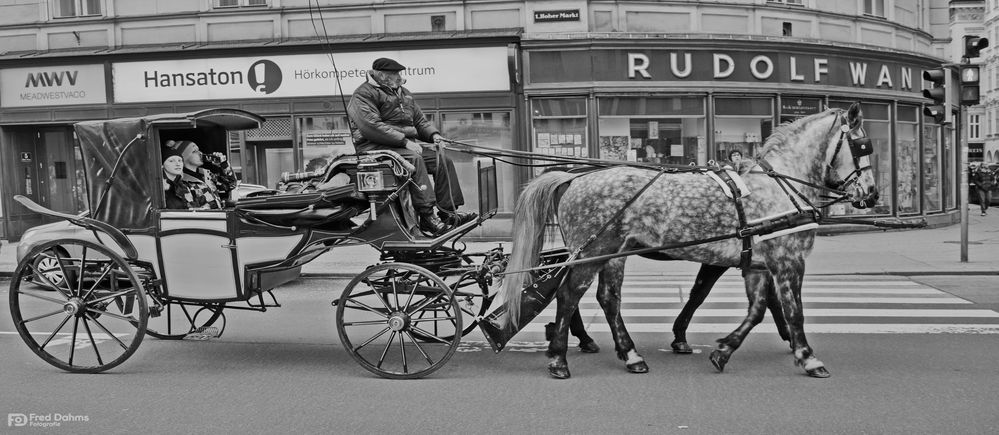 Mit dem Fiaker durch Wien