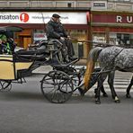 Mit dem Fiaker durch Wien