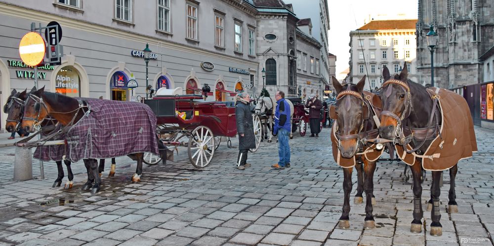 Mit dem Fiaker durch Wien