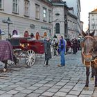 Mit dem Fiaker durch Wien