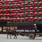 Mit dem Fuhrwerk unterwegs in Kunming