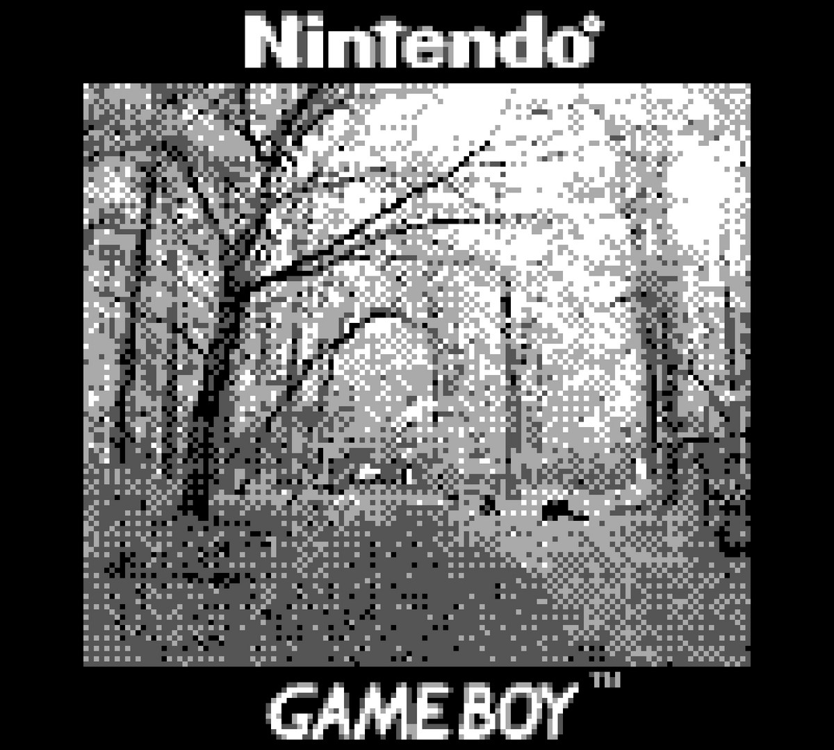 Mit dem Gameboy durch den Wald