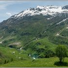 Mit dem Glacier Express unterwegs