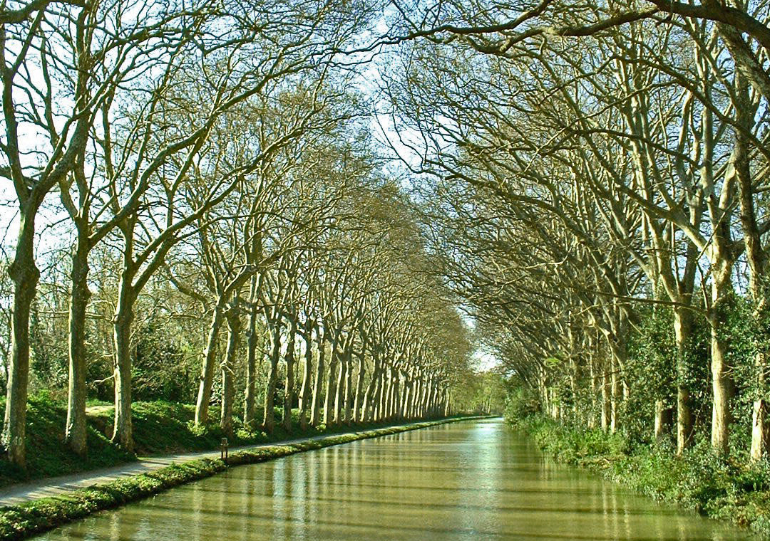 Mit dem Hausboot durch den grünen Tunnel