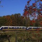 Mit dem "Heidesprinter" erixx im Herbst 2013 auf der Heidebahn