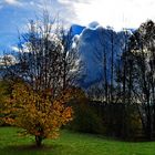 Mit dem Herbst beginnt die Natur ihr Kleid zu verlieren !