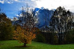 Mit dem Herbst beginnt die Natur ihr Kleid zu verlieren !