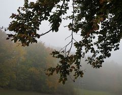 Mit dem Herbst kommt auch der Nebel....