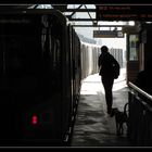 Mit dem Hund in Richtung Theodor-Heuss-Platz