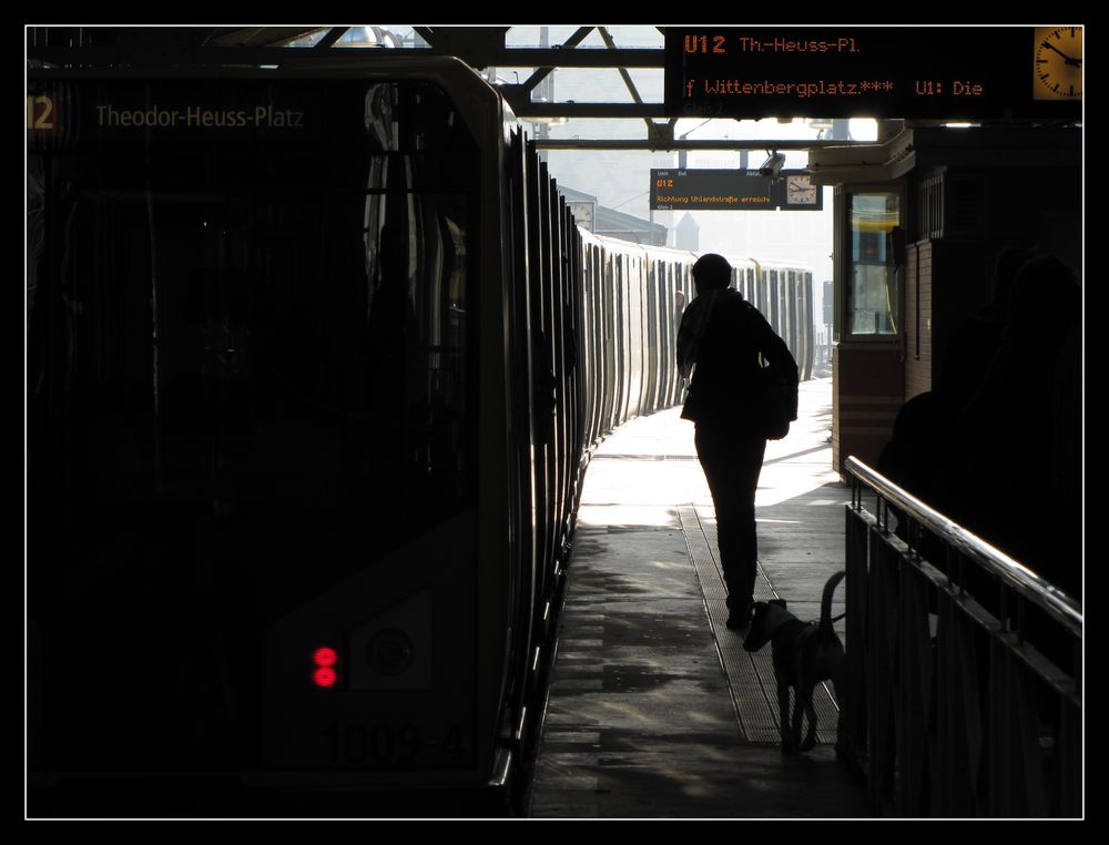 Mit dem Hund in Richtung Theodor-Heuss-Platz