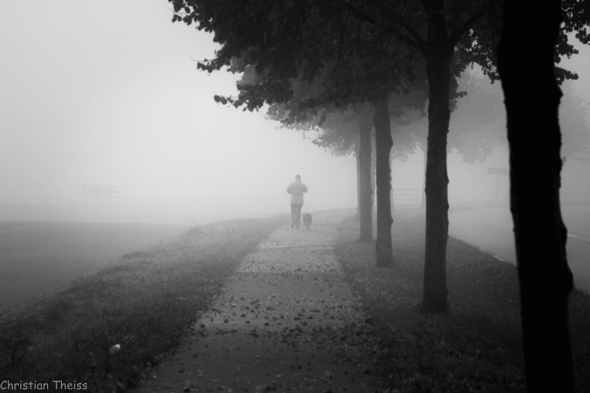 mit dem Hund unterwegs