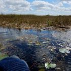 Mit dem Kajak unterwegs in den Everglades