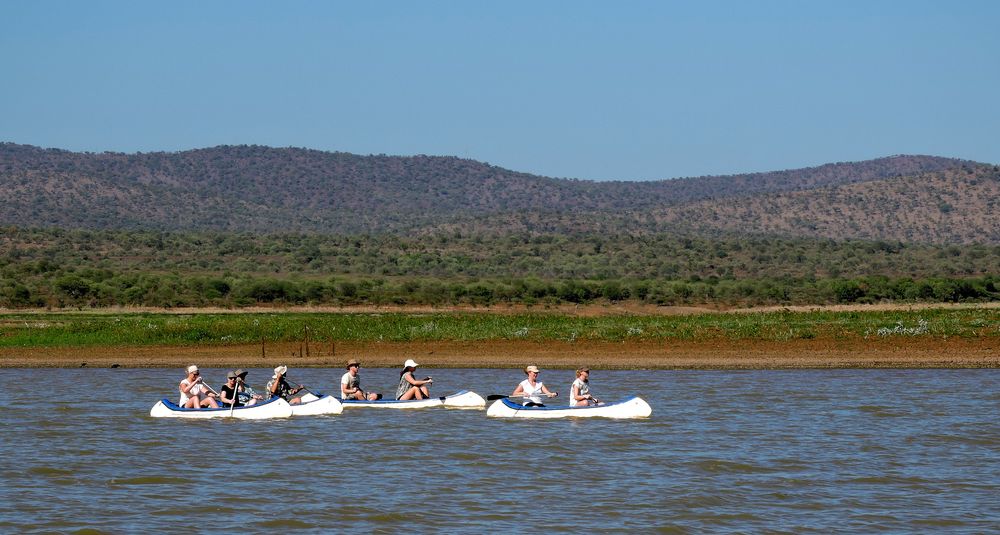 Mit dem Kanu auf dem Lake Jozini wäre mir nicht so angenehm,Auge in Auge mit den Krokodilen !