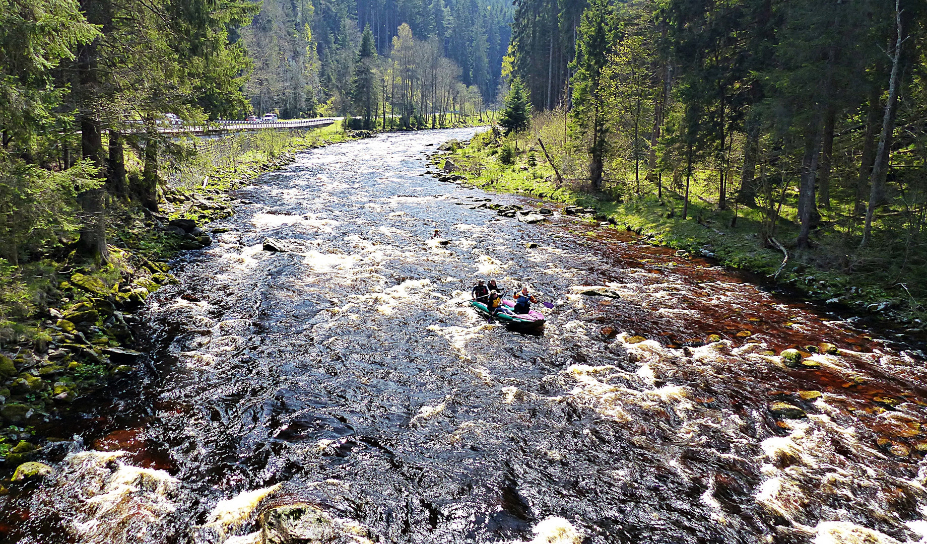 Mit dem Kanu auf der Moldau