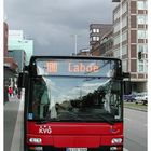 Mit dem Kieler Bus nach Laboe