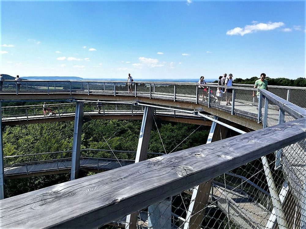 Mit dem Kinderwagen oberhalb der Baumwipfel (44 m hoch)