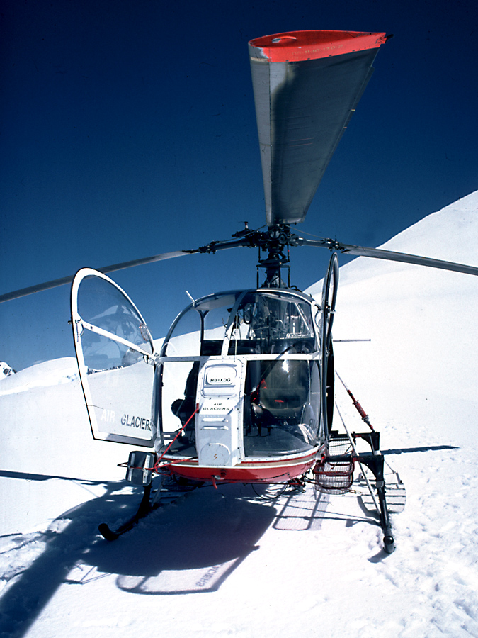 Mit dem Lama auf dem Gletscher