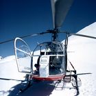 Mit dem Lama auf dem Gletscher