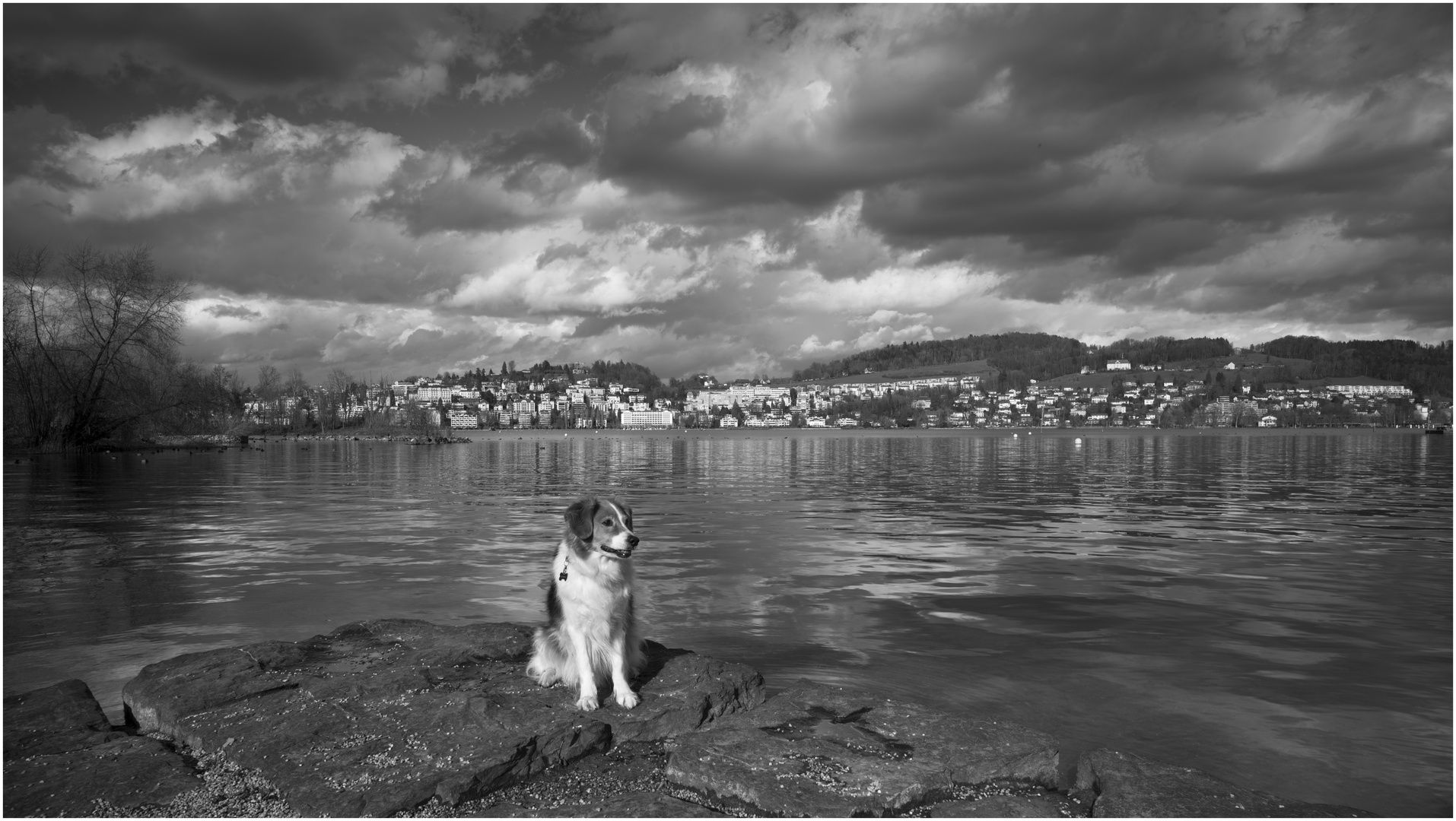 Mit dem Lenny am Vierwaldstättersee