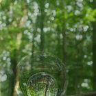 Mit dem LensBall im Wald