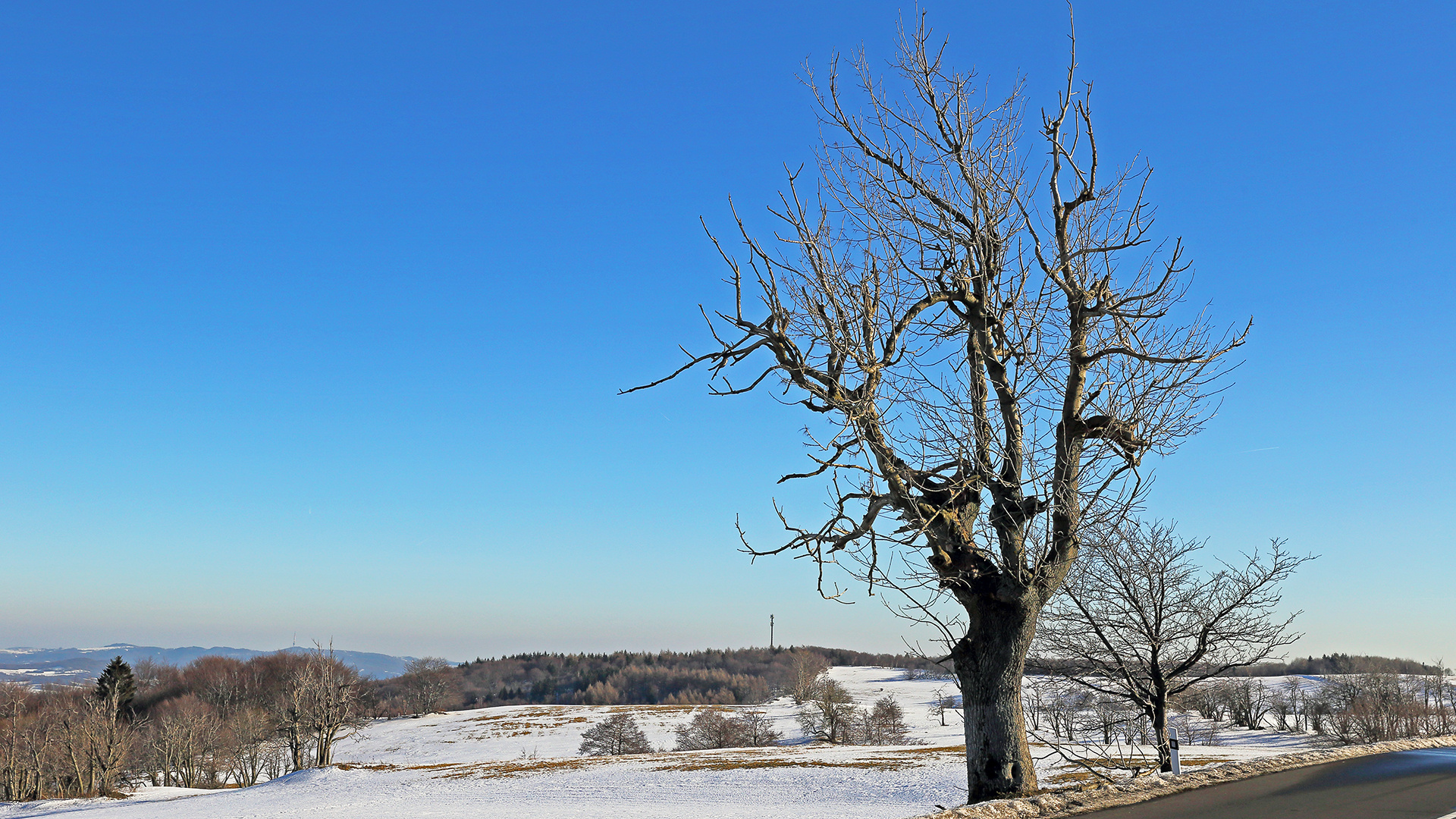 Mit dem Lieblingsbaum heute im Winter schnell noch ein Winterbild herausgesucht...