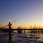 mit dem Mokoro im Okawango Delta