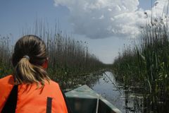 ... mit dem Motorboot im Donaudelta