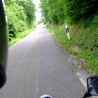 Mit dem Motorrad aus dem Wald heraus