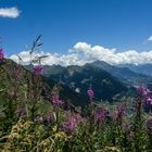 Mit dem Motorrad über den Gotthardpass / 2