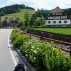 Mit dem Motorrad unterwegs im schönen Schwarzwald