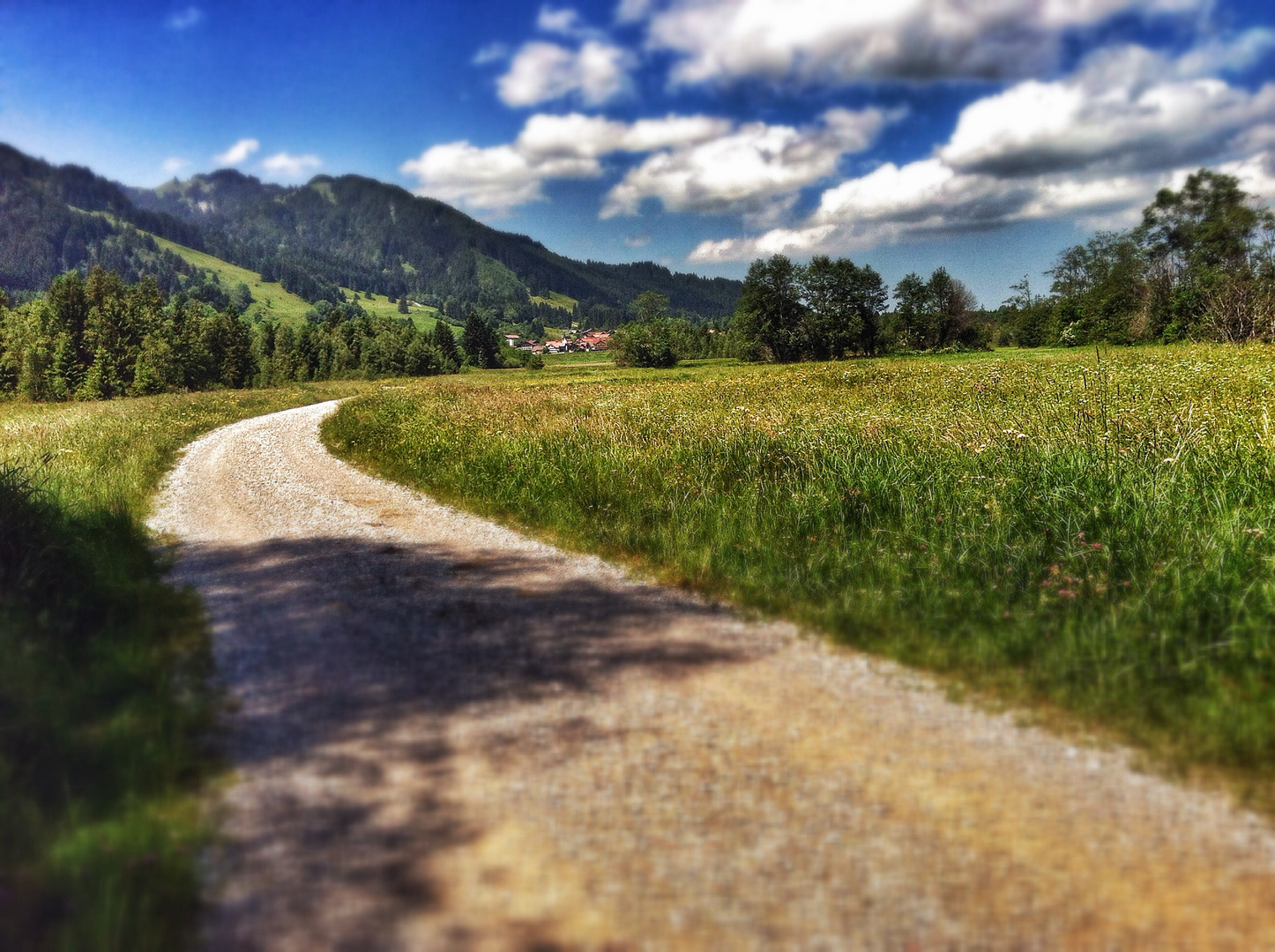 Mit dem MTB zwischen Pfronten und Nesselwang!