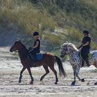 Mit dem Pferd an den Strand 2