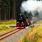 Mit dem Quirrel durch den Harz