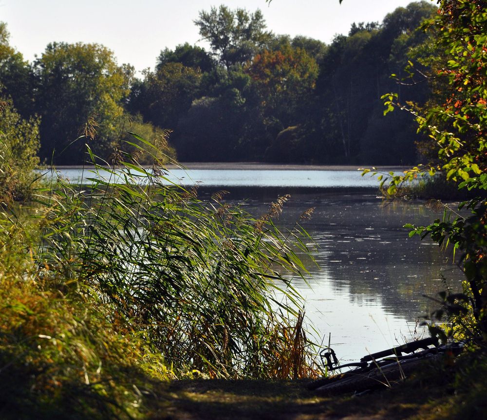 mit dem Rad am See