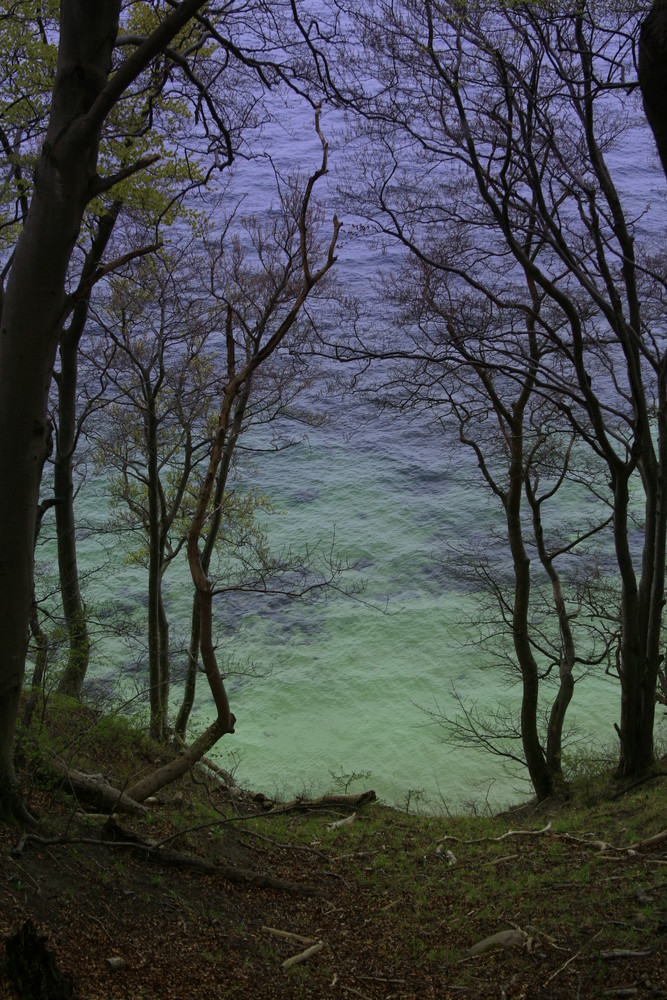 mit dem Rad auf Rügen 4