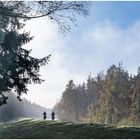 mit dem Rad durch den Nebel